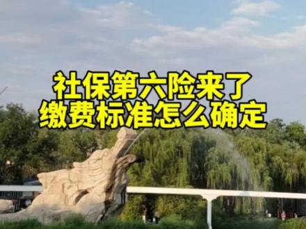 社保“第六险”来了,缴费标准怎么确定,每人缴多少钱#医保 #长护险 #社保第六险 #保障师说医保