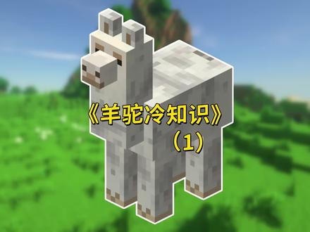 关于“羊驼”你可能不知道的冷知识以及特性!(1)#我的世界 #冷知识 #牧牧大魔王