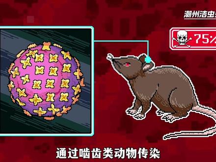 什么是汉坦病毒 #汉坦病毒 #什么是汉坦病毒 #病毒 #出血热 #消杀防疫