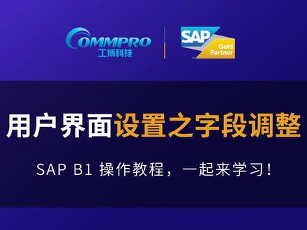 用户界面设置之字段调整 #SAP #B1 #用户界面设置 #字段调整#字段调整