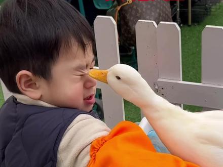 Sorry啊!应该怎么烹饪#鸭子咬人