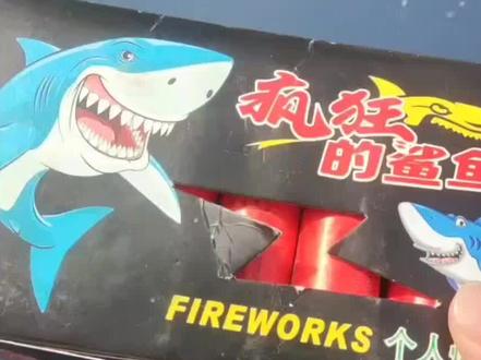 #回村的生活 #放炮要有仪式感 《疯狂的鲨鱼》
