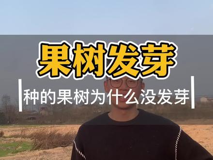 种下的果树多久才能发芽?一个视频告诉你答案#发芽 #果树发芽 #果树种植