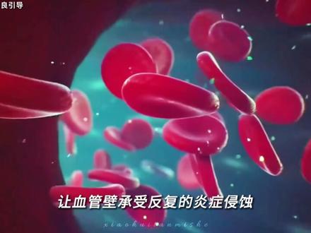 当你喝完一瓶500毫升可乐后,身体会有哪些变化? #科普 #科普一下 #健康
