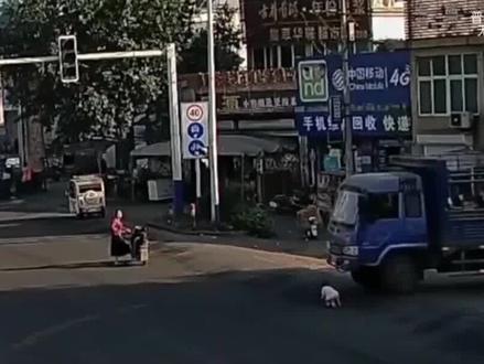 女童坐在电动车后座,经过路口时不慎掉落,惨遭大货车碾压身亡 #真实事件 #奇闻趣事 #社会 #生活百态