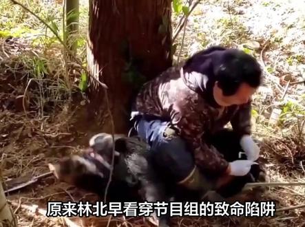 原来林北早看穿节目组的致命陷阱!七星山荒野求生决赛圈,林北直