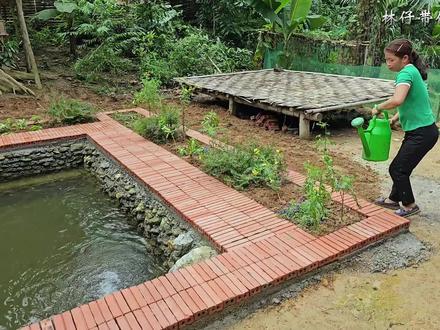 在鱼塘边上用红砖水泥建造一个全新的花园 #我的乡野山居生活 #花园改造 #荒野建造