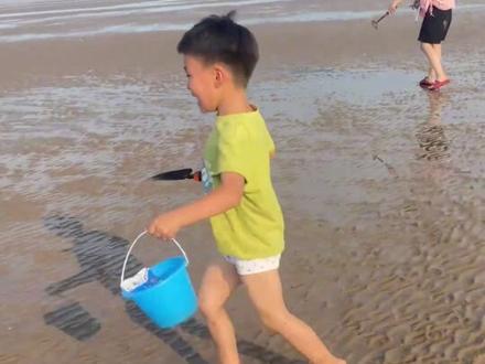 青岛赶海宝藏地#赶海 #青岛 #青岛旅行攻略