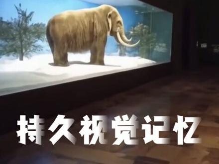 AI“造物主”Genie 3降临人世,AGI时代迎来狂飙突进#AI #Genie3 #AGI时代