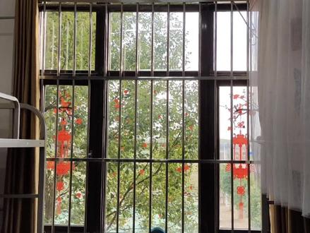 这样的宿舍会让你心动么?这是你理想改造的样子么?#宿舍文化节 #宿舍