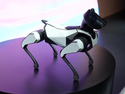 小米CyberDog 2真机体验:我仿佛看见了未来的“智能宠物”! #cyberdog #雷军年度演讲