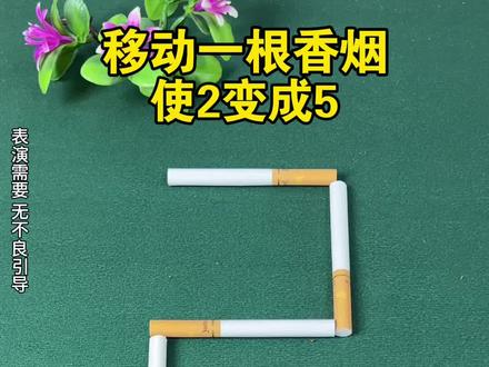 你知道怎么移使其2变成5吗?#动手动脑 #脑力开发 #思维训练