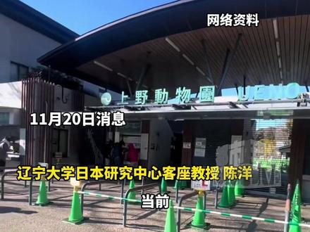 最后2只旅日大熊猫即将回国,专家:如果中日紧张局势持续,日本全国或将没有中国大熊猫。#大熊猫 #日本 #中国