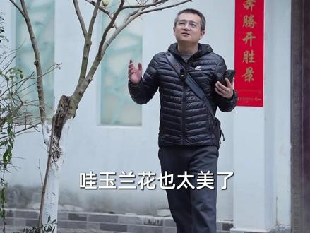 春天第一波玉兰花!拍照攻略来了 看见满树玉兰花不知道从哪下手?找到最美的一朵,用前景花虚化遮挡,梦幻氛围感直接拉满!你学会了吗?#玉兰花 #拍花 #摄影技巧 #花卉摄影 #拍照教程