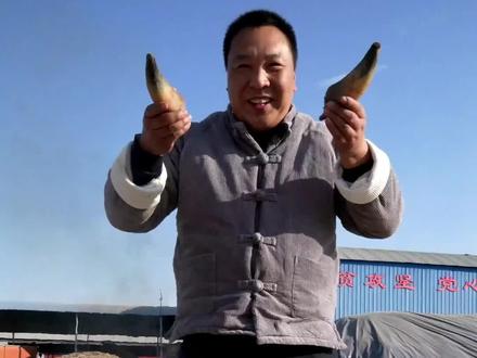 #香辣牛角#看完视频,才能知道怎么做怎么吃哦#第一次做牛角吃#太好吃了#新农人计划2021 #农村美食