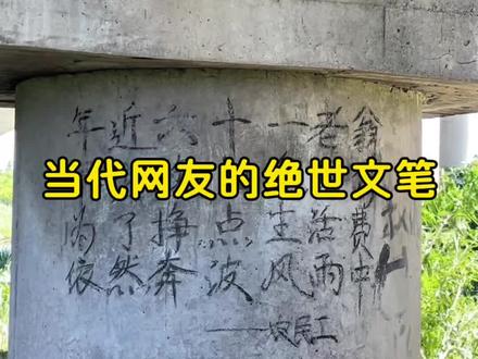 当代网友的绝世文笔 #诗词#诗词对决#文笔挑战