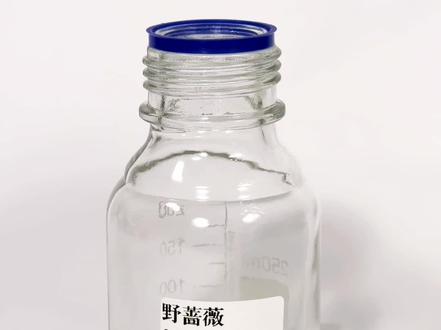 游书朗【野蔷薇】来啦来啦!!!
#游主任 #野蔷薇 #玫瑰香 #清冷香 #平价香