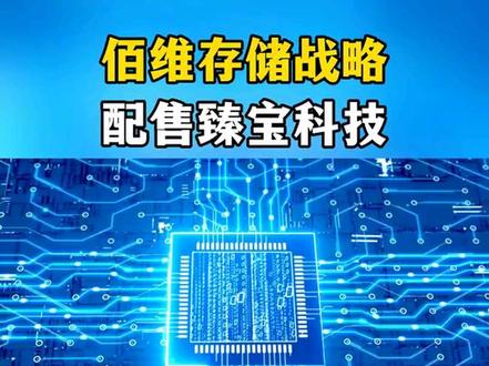 佰维存储战略配售臻宝科技 #佰维存储 #涨知识#涨知识