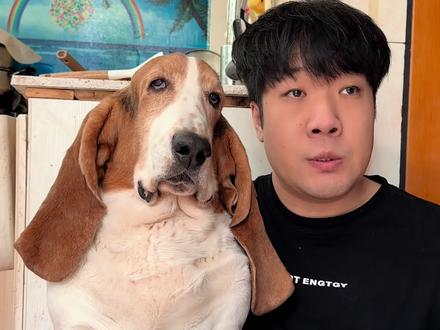 我和我的小狗和他_文案来源可爱的二花是个受气包 #狗狗的心思都写在脸上了 #许愿 #剪映 #阔爱炸了#狗狗