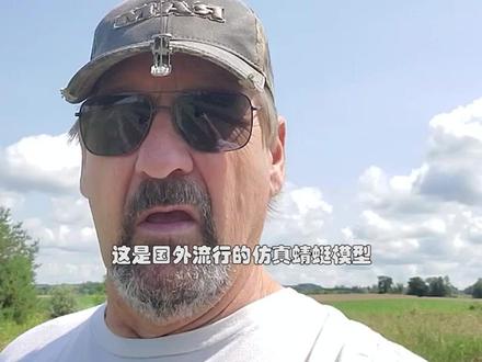 蜻蜓帽子 为什么能驱赶蚊虫