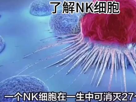 今日科普—免疫细胞中的特种兵NK细胞#科普一下 #医学科普 #nk细胞 #免疫细胞 #免疫系统杀疯了