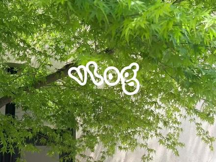 自学剪辑Day54:日常碎片也能剪出网感! #青年创作者成长计划 #剪映 #日常碎片 #剪辑教程 #新手学剪辑