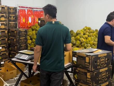 今年榴莲便宜的有点晚