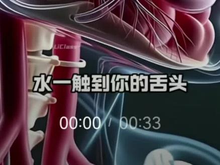 其实我以前不爱喝水的,有一次看了一篇科普帖子,当人喝下水时,身体里各种各样的小细胞都会欢欣鼓舞来庆祝水的到来。
后来我每次喝水就想到身体里的细胞正在成群结队地跳舞,单纯因为水而感到开心,就觉得好有意思呀,我要再多喝一点,让它们更开心一点。