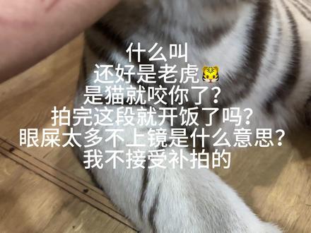 《武松日常vlog》 #宫百万 #白虎