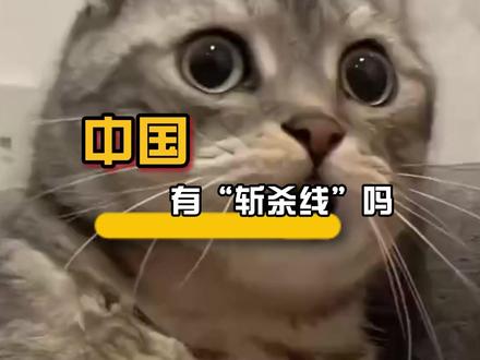 最近被西大的斩杀线刷屏了,那么东大有啥斩杀线吗? #娱乐评论大赏 #斩杀线