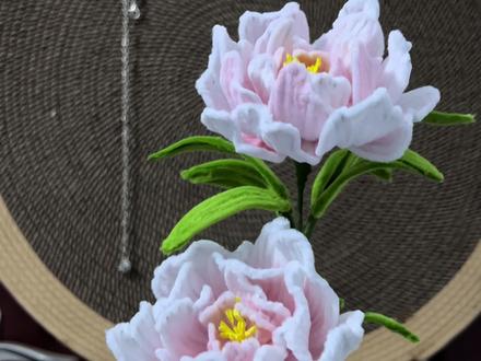 芍药扭扭棒教程#扭扭棒手工 #手工diy#芍药 #一岁一礼#扭扭棒成品出售