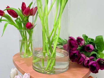 郁金香刚插瓶就垂头?“醒花” 少做了这 1 步
很多人拿到郁金香直接剪根插瓶
却忽略了它长途运输后严重缺水的状态
正确的做法是:
先准备深水桶,倒入 1/3 清水
将郁金香根部平剪后将花茎浸入水中静置 2-4 小时
这样能让花茎快速吸收水分,恢复挺立
花期超不过 3 天?养护别犯这个 “致命错误”
郁金香鲜切花养护不需要频繁换水
注意观察杆子有没腐烂
及时修剪腐烂部分
水位下降及时加水
花苞打不开或花瓣有斑点?温度和光照没选对
郁金香喜欢凉爽环境
若放在空调出风口或暖气旁,高温会让花苞提前凋谢
而阳光直射则会导致花瓣出现焦斑
最佳摆放位置是:
通风良好的散射光处
这样既能让花苞自然绽放,又能延长花期
#方德 #郁金香 #方德郁金香 #鲜花基地 #种草激励