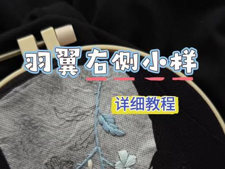 羽翼右侧小样刺绣教程 来来来~你们要的羽翼右侧小样刺绣详细教程来了!欢迎返图😊我瞅瞅你们绣的羽翼❗#刺绣diy #刺绣教程 #刺绣t恤 #羽翼 #水墨兰雪