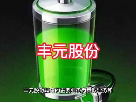 丰元股份上市公司基本情况介绍