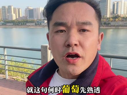 就是这句何时葡萄先熟透,你要静候再静候。最近,这首无名小诗火遍全网,道尽了无数游子的心声和报复。何时葡萄先熟候,你要静候再静候,何时功成与名就,你要静心再静心,辞家千里又千里,务必争气。再争气。骏马自知前程远,不待扬鞭自奋蹄。胸藏丘壑凌云志,踏破关山复可期,春夏秋冬为前愁。东南西北四处游,尝尽人间万般苦,只为人前不低头#又是一年 #原创视频 #何时葡萄先熟透你要静候再静候 #感悟人生。