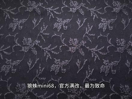 三模无线的磁轴,性价比的王,狼蛛mini68! #狼蛛 #狼蛛mini60 #键盘改装分享 #客制化键盘