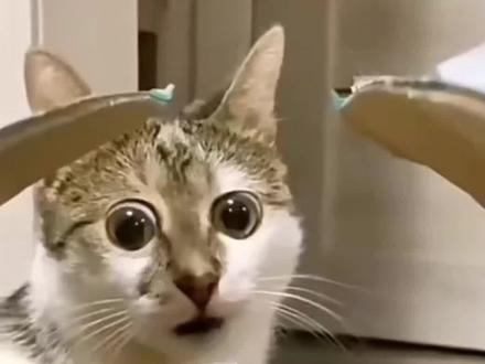 #机智逃脱#中式恐怖 别笑,你的胆子也不是很大