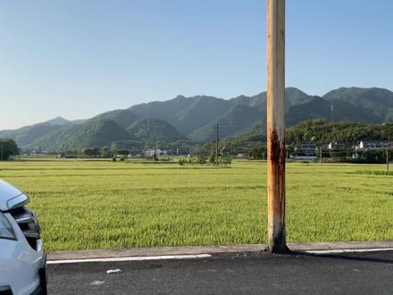 每周一山|绍兴梅坞古道徒步 探访蓝湖竹海
#徒步 #每周一山 #江浙沪周边游 #户外
大家好,山野小铃铛又来给大家安利绝美徒步路线了,这次📍绍兴上虞的梅坞古道,全程共有两条路线可选 7km/5Km,途中会经过村落、古树、竹林、溪流、驿廊等景致,最大的亮点便是竹林围簇间藏匿着如蓝宝石般的「澄湖」,也让这条古道享有了「上虞小九寨」的美称。
🏃♀️梅坞古道
🔸路线长度:穿越+小环线 7km |小环线 5.4km
🔸累计爬升:276米
🔸路线难度:一颗星
🔸预计用时:3小时
🔸路面情况:石板路、碎石路
🔸适合人群:徒步小白、亲子家庭
🔸路线编号(六只脚):穿越+小环线 4516986 |小环线 3183974