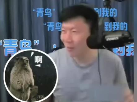 台湾博主:大陆机器人发展太快 #春晚 #台湾人在大陆 #机器人舞蹈 #两岸 #春晚机器人