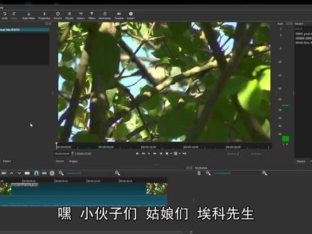 SHOTCUT的字幕添加教程