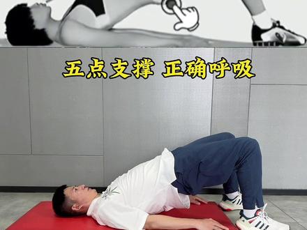 腰部锻炼之五点支撑 做好正确的五点支撑,配合好呼吸,效率更高!#腰椎间盘突出 #康复运动