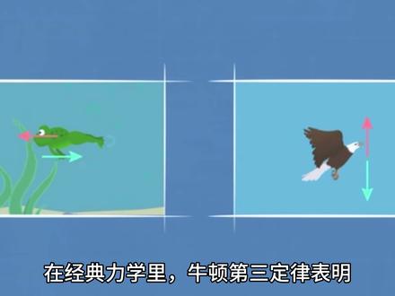 作用力与反作用力。#物理 #力学