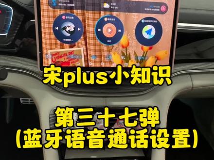 你知道如何设置蓝牙语音通话吗#比亚迪宋plus #比亚迪 #汽车隐藏功能 #新能源汽车 #用车有妙招