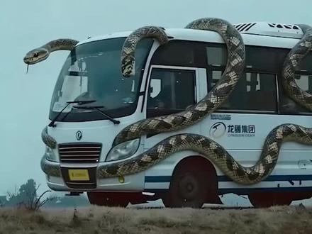 【免费看】真的不要一分钱,免费看精彩短剧