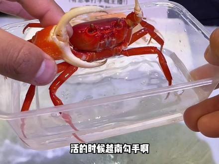 #越南勾手标本
活着噶了都好玩