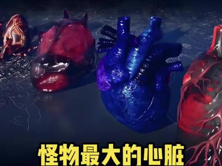 你知道怪物最大的心脏🫀有多大吗? #深海巨兽 #布鲁普 #玛雅 #食海者 #哥斯拉