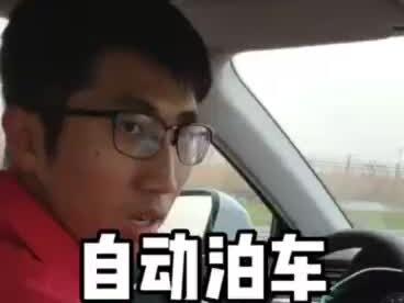 新手看过来:自动泊车 轻松倒库#探岳 @一汽-大众
