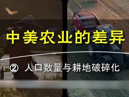 中美农业差异——人口数量不同与耕地破碎化#科普一下 #科普 #农业 #乡村振兴dou行动