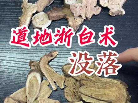 没落的浙白术#中药材 #滋补养生 #滋补佳品