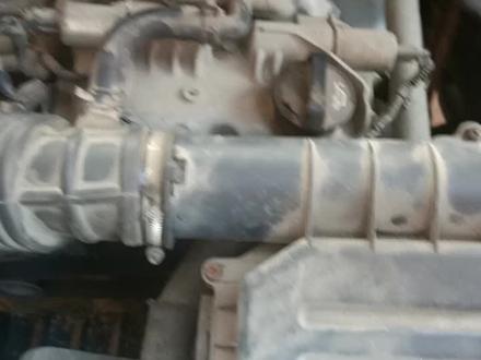 早上好,看我怎么搞定它!P2177